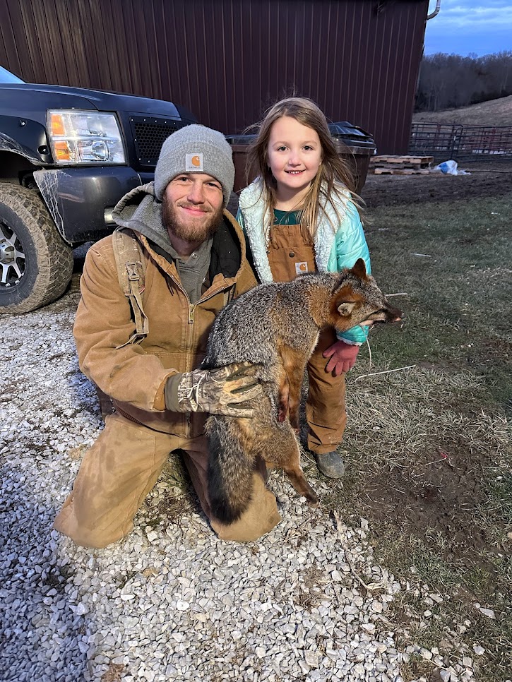 Grey Fox Comeback United Trappers Of Kentucky grey-fox-comeback-united-trappers-of-kentucky