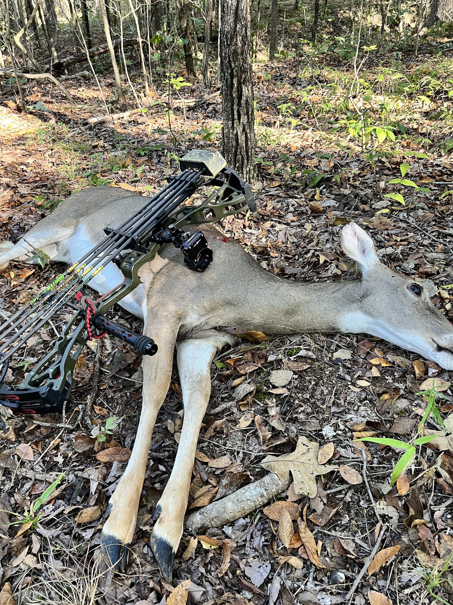 Crossbow next three days United Trappers of Kentucky